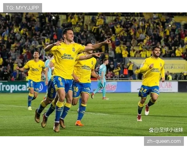 阿拉维斯2-2战平奥萨苏纳，双方各取一分皆大欢喜